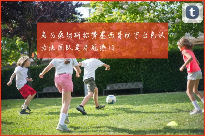 乌戈桑切斯称赞墨西哥防守出色认为法国队是夺冠热门